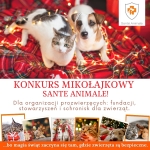 Zdjęcie WhatsApp 2025-12-01 o 14.59.33_e41d9adf_692da42ebaf563_53383847.jpg